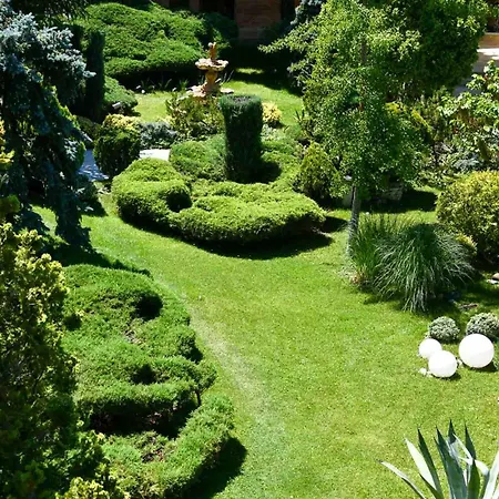 Dana ヴィーナス