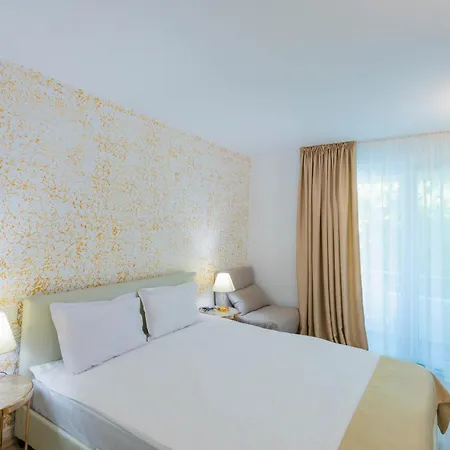 Hotel Dana 4*